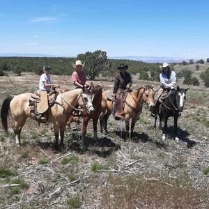 Meet your Posher, Karlee